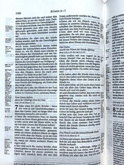 German Bible, Die Bibel, Schlachter 2000, Imitation Leather, Brown Black 2-toned