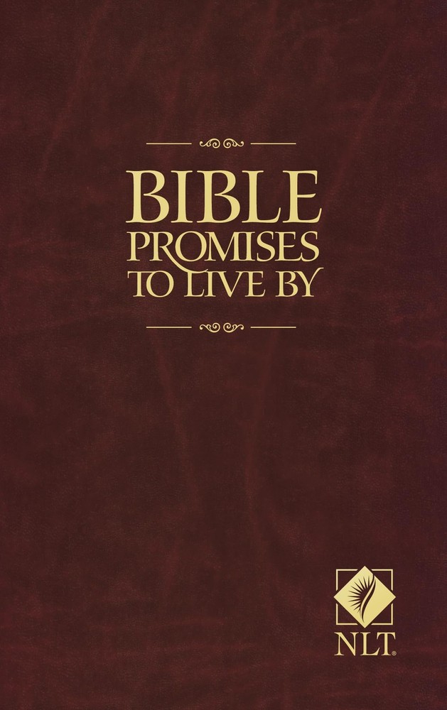 Bible Promises to Live By – Beers, Ronald A.|Mason, Amy E. – Good – See cond…