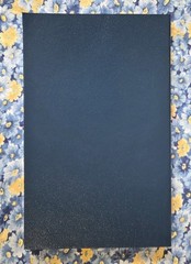 New Testament, Psalms, Gideons Bible, Thinking Of You, 2016, Brand New, PB
