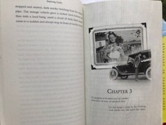Surprising Cecilia by Denise Gonzales Abraham – Hardcover, all 221 pages clean