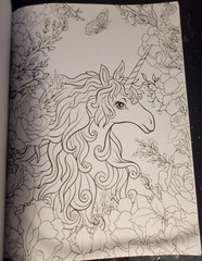 COLORING MYTH & MAGIC Vol 3 Adult Coloring Book With 47 Prints Ready To Frame