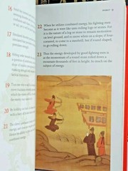THE ART OF WAR DELUXE Silk Edition Sun Tzu Illustrated Collectible slipcase NEW