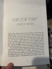 Chapbook Study for „Estate” by Caitlín R. Kiernan published by Gauntlet Press