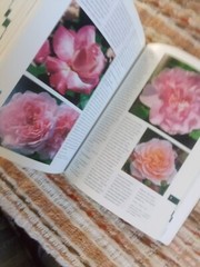 Botanica’s Pocket Roses: Over 1000 pages and 2000 roses listed (2001,Pb)