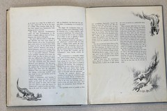 Album of Dinosaurs by Tom McGowen (1972, Hardcover) FIRST PRINTING