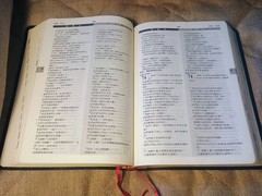 新譯和合聖經 New Chinese Version Union Parallel Bible Worldwide Bible Society