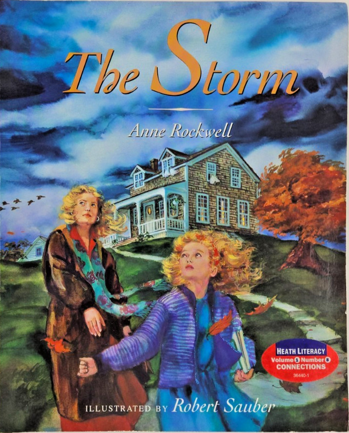 The Storm by Anne Rockwell Book for Children 11 x 9 Illustrated 1994 Paperback