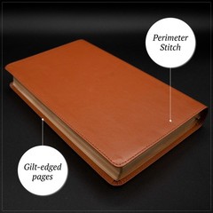Louis Segond French Bible Medium Print – Compact LSG Bible Marron by SP