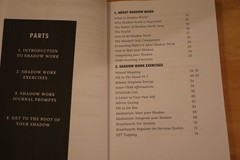 The Shadow Work Journal: A Guide to Integrate and Transcend your Shadows
