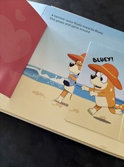 BLUEY Board Books -Set of 2 – The Beach / The Creek – Puffin 2018 – As New Cond.