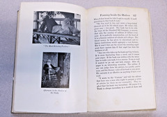 1922 First Edition Talks by John Burroughs American Naturalist & Conservationist
