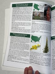 The Forager’s Guide to Wild Foods Book By Nicole Apelian, 2021 North American Ed