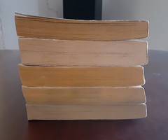 Lot of 5 Vintage CONAN Paperback Books Hyborian Age Stories Ace Sci Fi TOR
