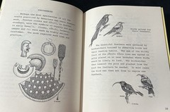 2 Hawaii Juv History BEHOLD HAWAII and HAWAII NEI Julie Stewart Williams 1999