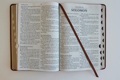 KJV Giant Print Thinline Bible – Durable Brown Cover, Ribbon Marker, 1408 Pages