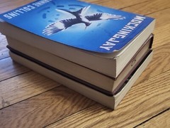 The Hunger Games Trilogy Lot of 3 Books Suzanne Collins