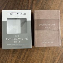 Amplified Joyce Meyer Everyday Life Study Bible – Blush LeatherLuxe