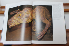 Dinosaurs & Other Prehistoric Animals Book 448 Pages, Amber Books – VGUC