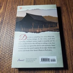 Remote Danger Katy Lee 2024 Hearts in Peril Romance Annie’s Fiction