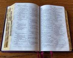 Holy Bible LARGER PRINT Bonded Leather Unique Tabs Red Letter Words Personalized