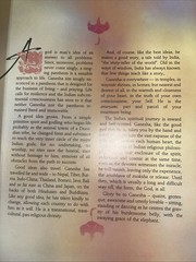 Ganesha Beyond the Form – Lakshmi Lal Illustrated Hc Dj Hinduism Buddhism