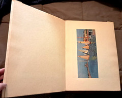 DUFY, Masterpieces of French Painting, Maurice Raynal, FOLIO SIZE SC, SKIRA 1939