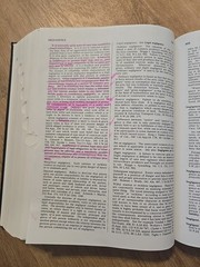 Black’s Law Dictionary Special Deluxe Fifth 5th Edition 1979 Padded Indexed.