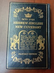 Hebrew-English New Covenant Prophecy Edition Hardback Gilded Edges