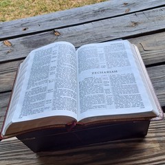 HOLY BIBLE ROYAL SOVEREIGN WORLD KJV BURGANDY GENUINE BONDED LEATHER RED LETTER