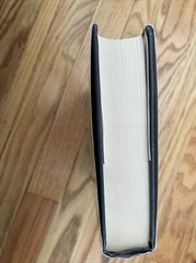 MAGICIANS QUALITY Patricia Wrede Caroline Stevermer HCDJ Book Club 2 Novels VG