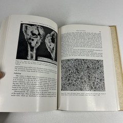 Comparative Pathology of the Tumors of Bone by Jacobson 1971 CSI Vintage Medical