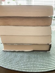 Lot Of 5 Karen Kingsbury Books See Details for Titles see photos for condition.