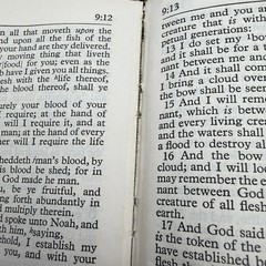 New Scofield Concordance Bible Oxford 1967 Black Morocco Leather King James KJV