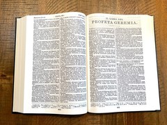 Italian Language Bible, Sacra Bibbia, Reformation-era Diodati, Hardcover