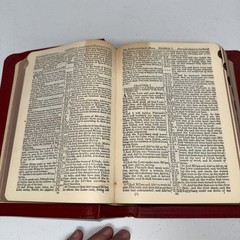 1946 Holy Bible The Good Shepherd Ed Christian Workers Indexed Illustrated EUC