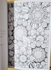 COLORFUL ESCAPES -A Bouquet of Color! Vol. 24 – Adult Coloring Book- 47 Pages