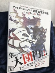 Fire Emblem Awakening Model Sheets Knights Of Iris Concept Art Book JDM MINT
