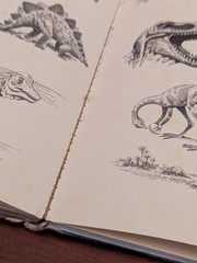 Album Of Dinosaurs Vintage Children’s Hardcover Tom McGowen Rand McNally 1976