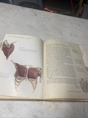 Anatomy and Construction of the Human Figure Perfect Charles Earl 1949