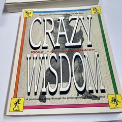 Crazy Wisdom by Wes Nisker (1990, Best Guide To Meditation Paperback Lot