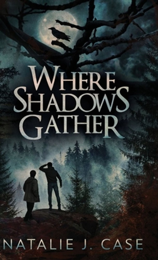 Where Shadows Gather by Natalie J. Case Hardcover Book