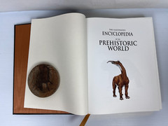 RARE „The Illustrated Encyclopedia of the Prehistoric World” 512 Pgs 9 X 11.5″