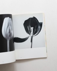 Ishimoto Yasuhiro Iro to Katachi Photography Flowers Photo Book Hardcover