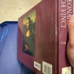Leonardo Da Vinci by D. M. Field Multicolor Illustrated Hardcover Book