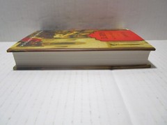 A Rare and Curious Gift – Pauline Holdstock – Hard Cover First American Edition