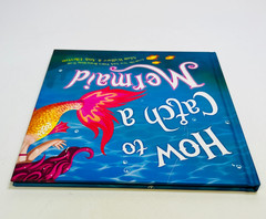How to Catch a Mermaid Hardcover Adam Wallace & Andy Elkerton