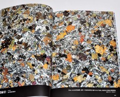 Rock Thin Section Illustrated Guide: Mineral Composition and History from Japan