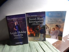 *NEW PRICE Lot of 19 Paperback Amish Romance Novels – Various Titles/Authors