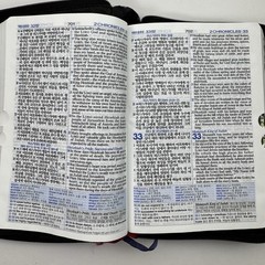 NIV NKRV Korean-English Study Bible Zippered Faux Leather Word of Life Press