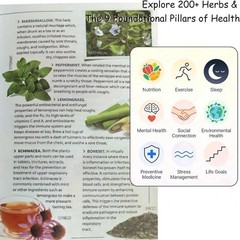 Spiral Bound Sustain Me A Handbook of Natural Remedies Barbara O’Neill